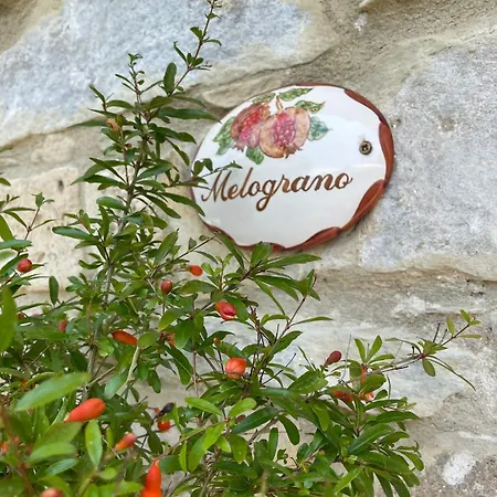 Bed & Breakfast Borgo Dominici